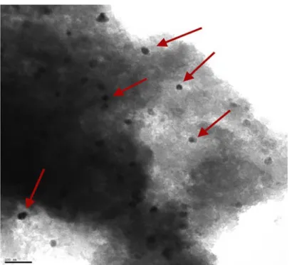 Table 3. Textural characteristics of the activated carbon used in this study. 