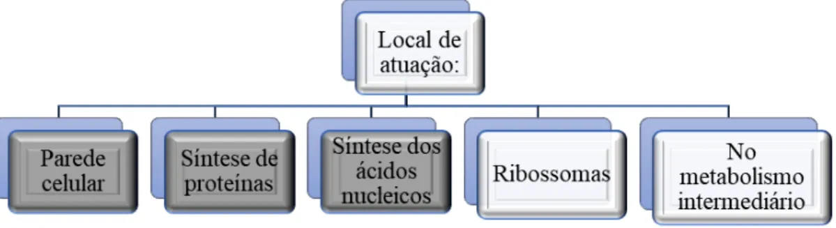 Figura 2 - Locais de atuação dos antibióticos (Adaptado de Patait et al., 2015). 