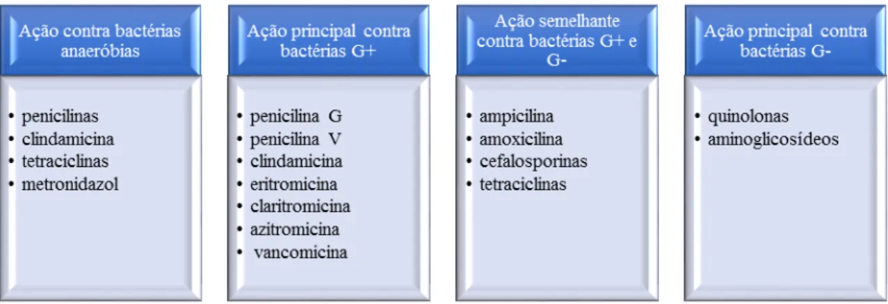 Figura 4 - Distribuição dos antibióticos de acordo com a sua ação sobre os microrganismos habitualmente  envolvidos nas infeções, em cirurgia oral (Adaptado de RUIZ et al., 2018).