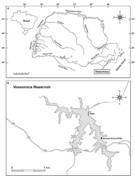 Figure 1. Locations of the Vossoroca Reservoir in the state  of Paraná, Brazil; VOS - the sample site of the study