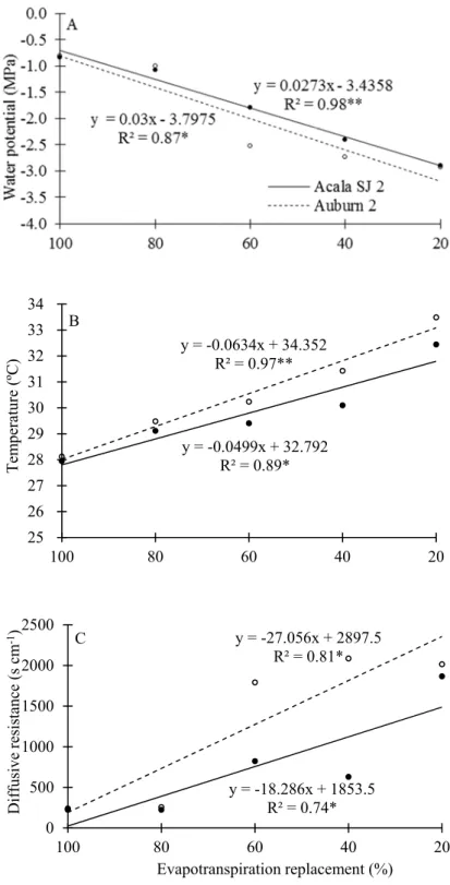 Figure  4.  Water  potential,  temperature  and  diffusive  resistance of the leaves of Acala SJ 2 (●) and Auburn 2 (○)  cotton  cultivars  as  a  function  of  evapotranspiration  replacement