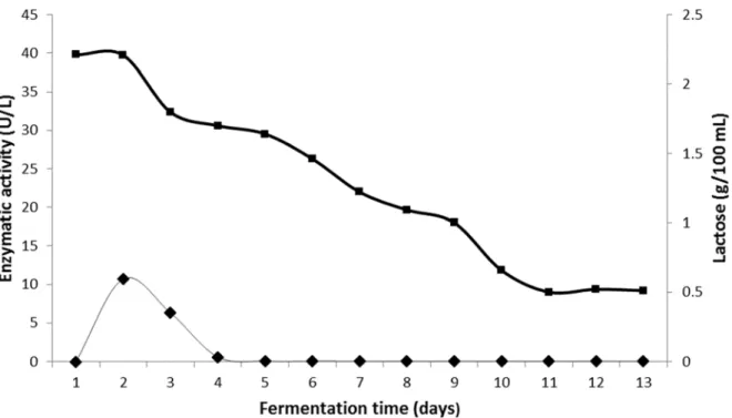 Figure 4. Evolution of enzymatic activity of β-galactosidase from Aspergillus oryzae and lactose  content (filled square) during batch submerged fermentation (deproteinized and demineralized  CWP solution - 5%)