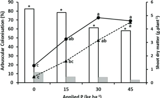 Fig. 3. Effect of applied P on maize root arbuscular colonisation (% AC; open bars -  undisturbed soil; grey bars  - disturbed soil) and shoot dry matter (g.plant -1 ; ● undisturbed soil; ▲ disturbed soil), at 21 days after planting