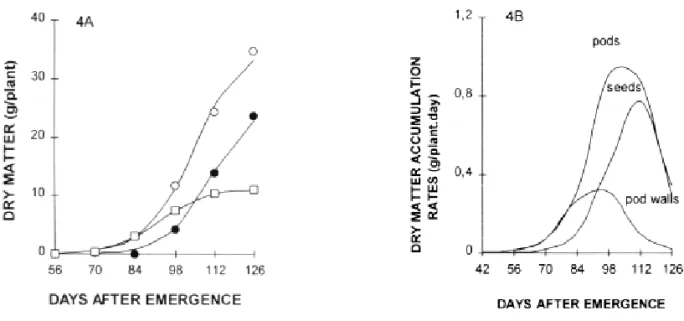 TABLE 1. Stages of development, shoot-root ratio (SRR), dry matter of pods and seeds, partitioning coeffici ent (P c ) and harvest index (H i ) of soybean plants in relation to days after emergence, DAE, (n=30).