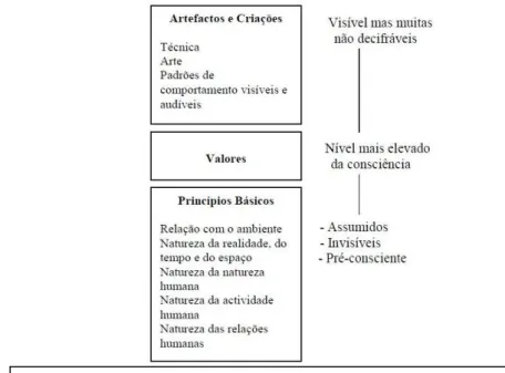 Figura 2: Níveis da cultura e da sua interacção propostas por Edgar Schein (2006). 