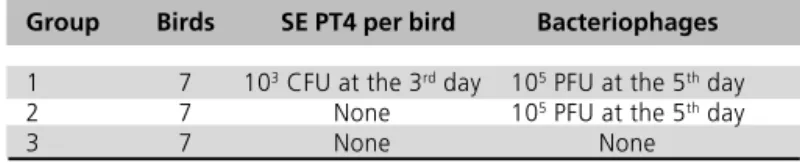 Table 3  Experimental design for in vivo study of bacteriophage isolates.