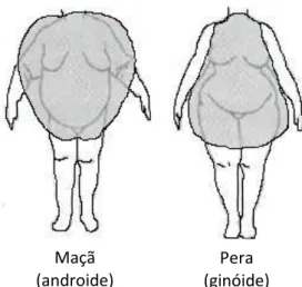 Figura 1 - Classificação da obesidade, atendendo às zonas do corpo onde a gordura está  armazenada (adaptado de Mcardle, 1998 citado por Sapatéra &amp; Pandini, 2005).