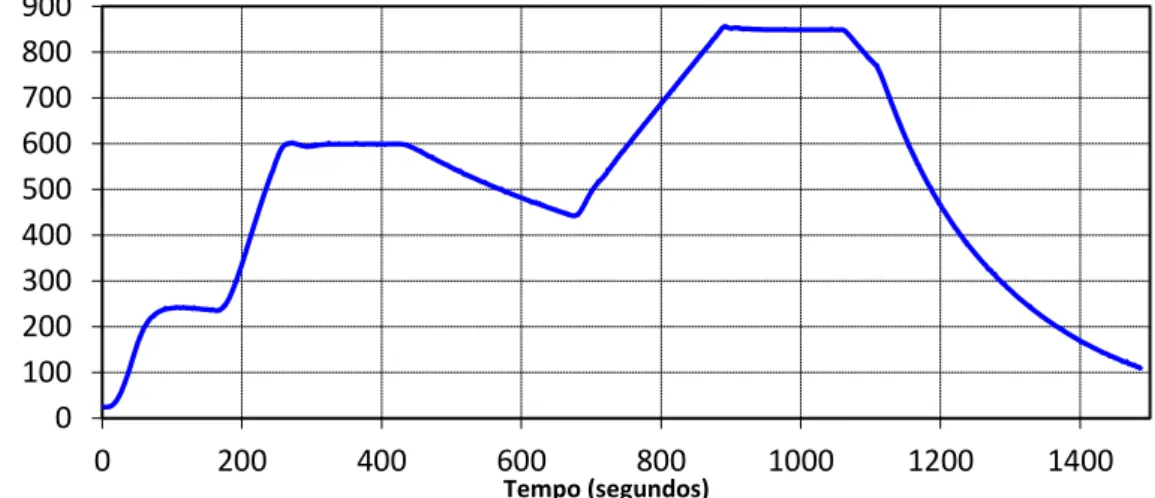 Figura 10. Exemplo do programa de temperatura para as amostras da cantina e da churrascaria 