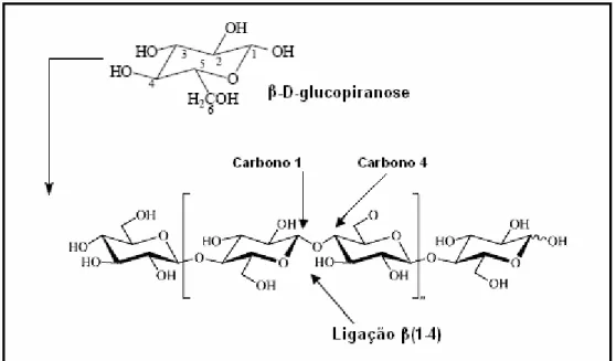Figura 3: Estrutura molecular da celulose [(C 6 H 10 O 5 ) n ] na forma de 1,4-β-D-glucopiranose [29]