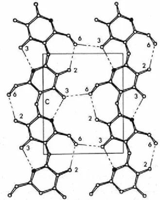 Figura 4: Ligações inter e intra-moleculoares nas cadeias de celulose [29]. 