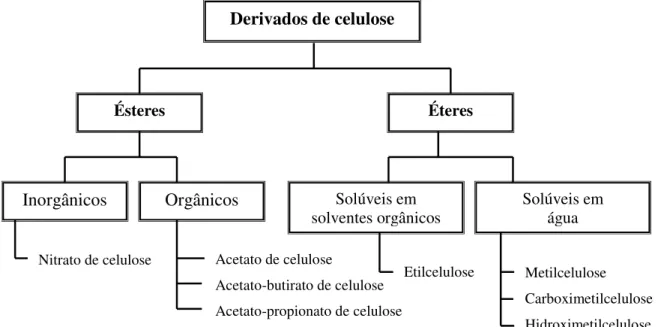 Figura 13: Principais derivados de celulose. 