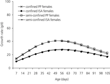 Figure 1 - Growth rates of ISA Label (ISA) and Paraíso Pedrês (PP) males.