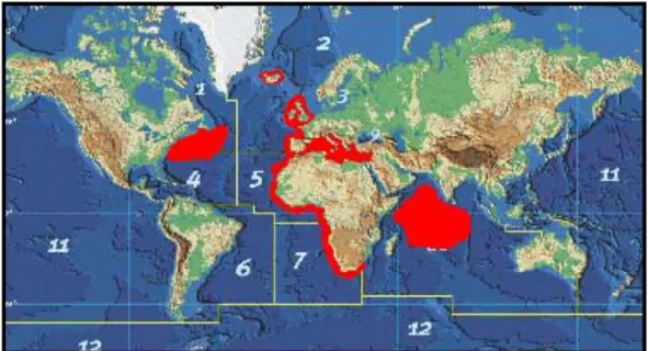 Figura 2 - Distribuição geográfica do carapau (Trachurus trachurus). 