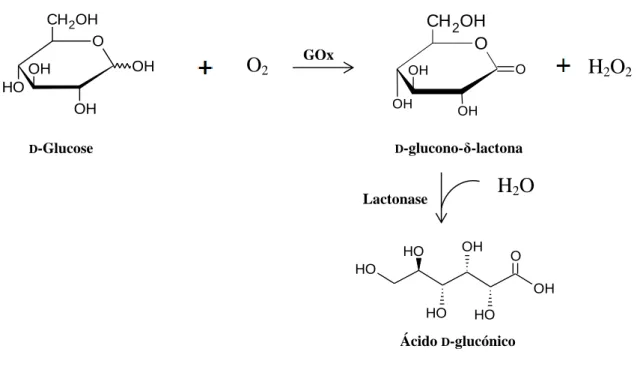 Figura 2. Reação catalisada pela enzima GOx. 