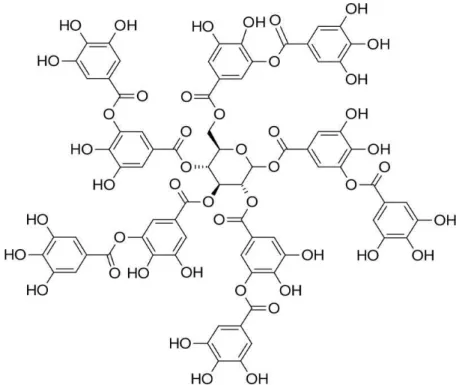 Figura 3. Estrutura do ácido tânico 
