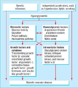 Figura  1-  Vias  implicadas  no  desenvolvimento  de  complicações  vasculares  associadas  à  diabetes
