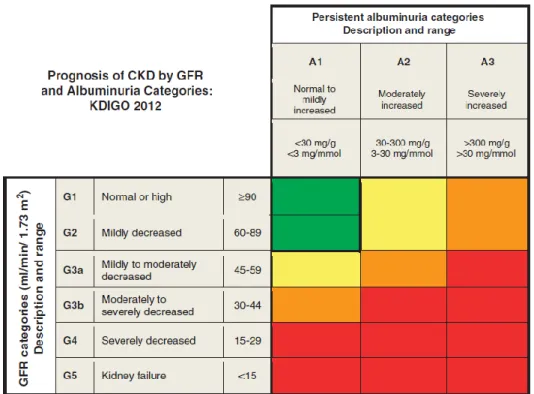 Figura  4  -  Estratificação  do  prognóstico  de  DRC,  de  acordo  com  valores  da  TFG  e  albuminúria  (segundo  razão  albumina/creatinina):   verde : categoria de baixo risco (se outros marcadores de doença renal não estiverem presentes,  não se con