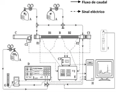 Figura 13 – Esquema modificado do sistema de análise termo-óptico  para determinação de CO, CE e CC