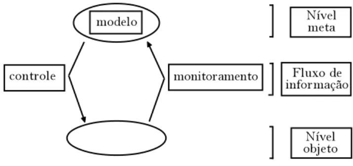 Figura 2. Modelo de Nelson e Narens, (1996, p. 11).