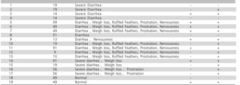 Table 1  Detection of turkey astrovirus (TAstV) and turkey coronavirus (TCoV) in turkey flocks showing poult enteritis and mortality syndrome.