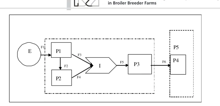 Fig. 01 – Diagram of the basic characteristics of a system. Modified from Odum (1988).