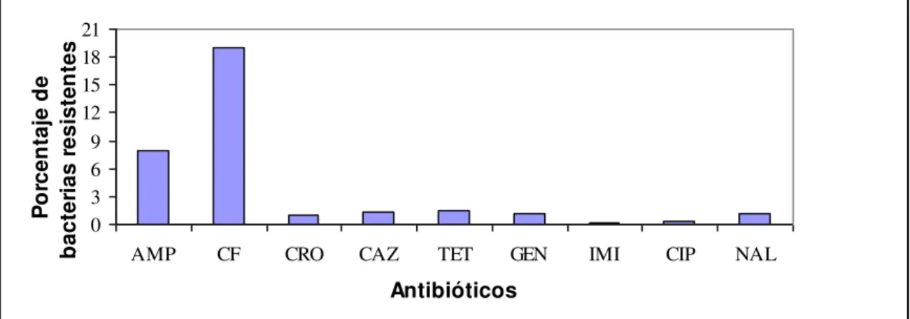 Figura 1. Prevalencia de bacterias heterotróficas resistentes a antibióticos. 