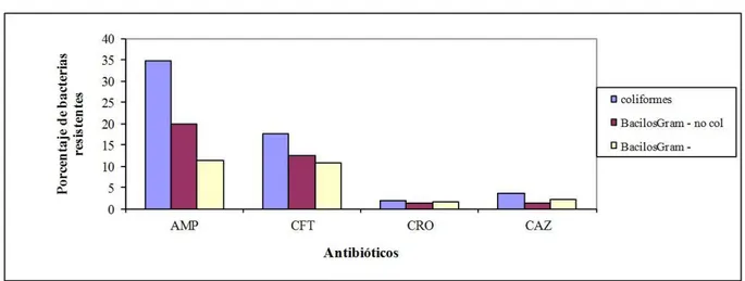 Figura 2. Prevalencia  de bacilos Gram negativos resistente a antibióticos β - lactámicos