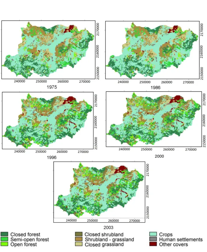 Figure 3. Land cover and land use classes per year in the Cointzio watershed. 