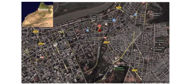 Figure  1.  Location  of  the  sampling  site  (noted  as  ‘A’  in  the  map)  in  Kenitra City