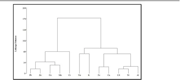Figure  6.  Dendrogram  of  CA  of  metal  concentrations  in  fine  fraction at the studied site