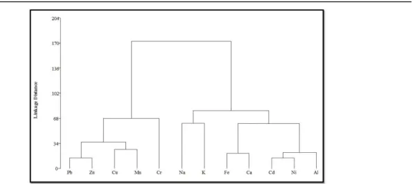 Figure  6.  Dendrogram  of  CA  of  metal  concentrations  in  fine  fraction at the studied site
