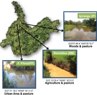 Figure 1. Hydrographic basin of the Una River  and  the  three  sites  from  which  fish  specimens  were collected