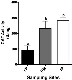 Figure  3.  CAT  activity  in  the  hepatic  tissues of fish, Astyanax bimaculatus, from  three  different  locations  in  the  Una  River  Basin