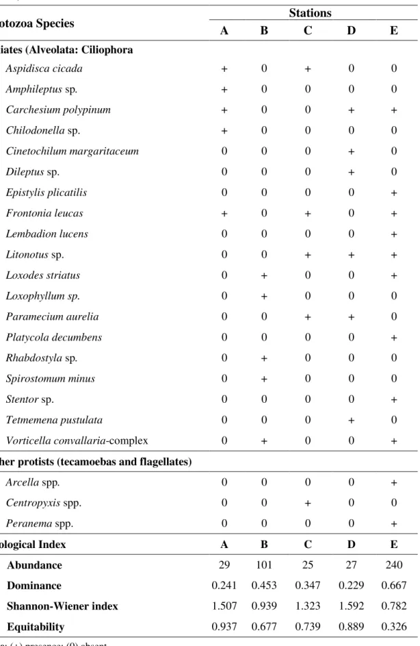 Table  2.  Composition,  abundance  and  ecological  indices  of  the  protozoa  assembly  (emphasis  on  ciliates) found in the five sampling stations of the Guapiaçu-Macacu hydrographic complex, Rio de  Janeiro, Brazil