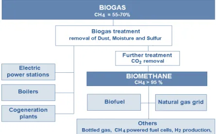 Figure 6 shows the feasible alternatives for the conversion of biogas into energy. For the  production  of  electricity  and  heat,  biogas  is  used  after  simple  treatments  for  the  removal  of  dust, moisture, and hydrogen sulfide