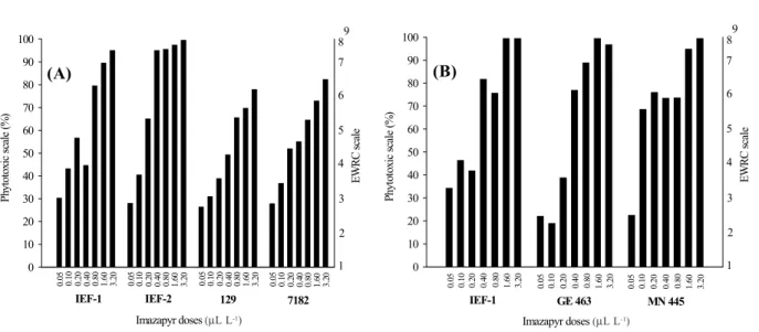 Figure 1 – Percent and grades of toxicity of the eucalypt plants (A – first assay and B – second assay) in relation to imazapyr doses at 40 days after treatment application.