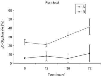Figure 6 - Percentage of  14 C-glyphosate in the plant, except for the application leaf, of resistant (R) and susceptible (S) C