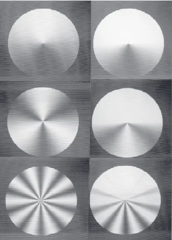 Figura 1. Exemplos de pares de estímulos de freqüências angulares utilizados para estimar o filtro angular de 1 ciclo/360º