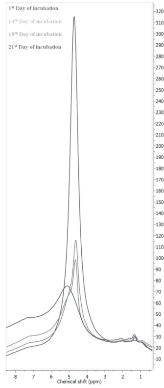 Figure 1 –  1 H MAS NMR spectra of CE samples collected during incubation.