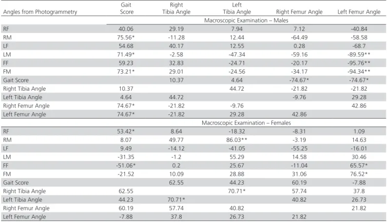 Table 2 shows the Pearson’s correlation coefficients  of photogrammetric angles with gait score and  macroscopic femoral degeneration and tibia  dyschondroplasia results obtained in the carcasses of  42 day-old chickens.