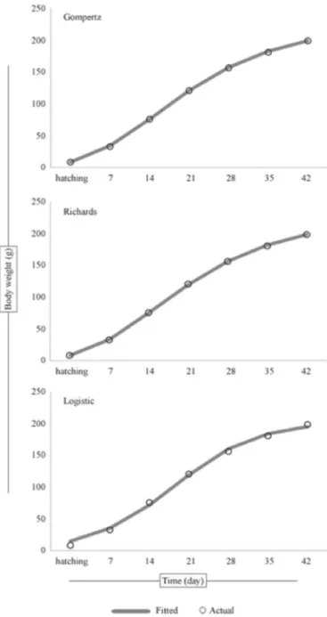 Figure 1 – Actual and Fitted body weights (g) for Gompertz, Richards and Logistic  functions via Bayesian approach.