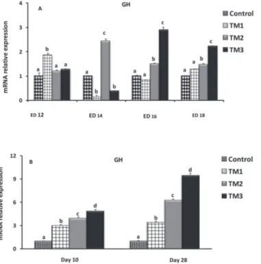 Figure 9 – The effect of thermal manipulation (TM) during embryogenesis on myos- myos-tatin gene expression during embryonic days 12-18 (A) and posthatch days 10 and  28 (B) (n = 20)