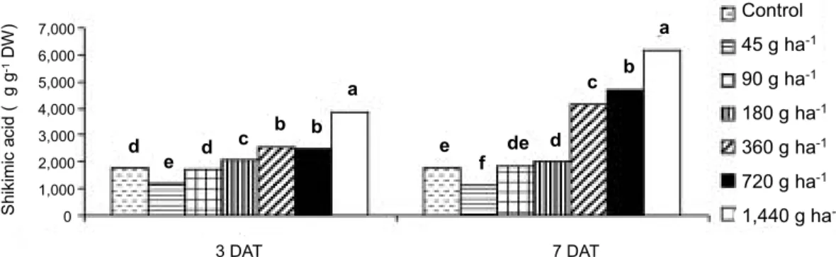 Figure 3 - Effect of glyphosate rates (g ha -1  e.a.) on shikimic acid on Brachiaria decumbens (DAT = Days after treatment).
