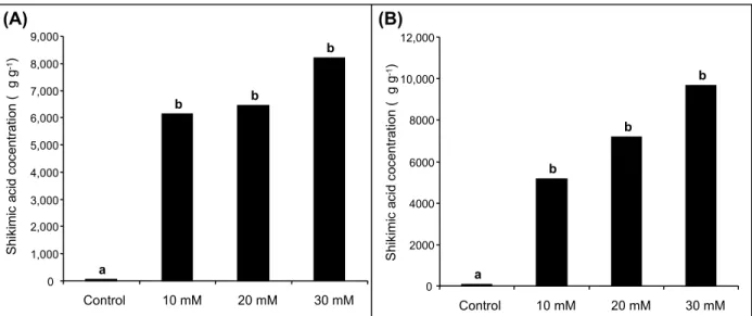 Figure 5 - Shikimate content of soybean shoot (A) and root (B) tissues treated with increasing concentrations of glyphosate for 24 h.