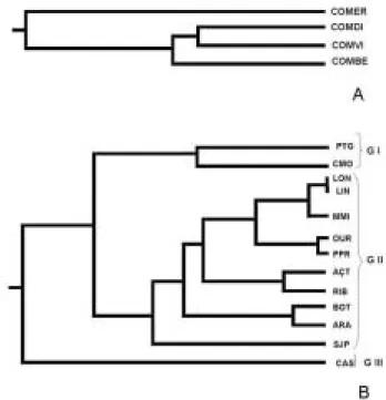 Figure 2 - Dendrograms produced by Cluster Analysis using RAPD molecular markers. A. Four Commelina weed plant from Paraná, Brazil