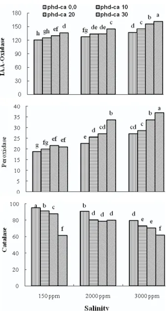 Figure 1 - Interactive effect of NaCl salinity and prohexadione- prohexadione-Ca on activities of IAA-oxidase, peroxidase and catalase enzymes of faba bean leaves at 40 DAS.