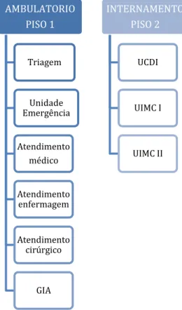 Figura 3- Áreas de intervenção do SU do HGO