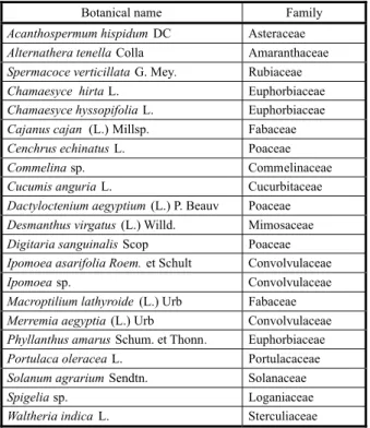 Table 1  - Species of weeds observed in weedy plots of six maize cultivars