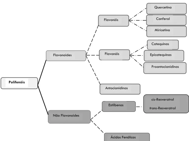 Figura 1 - Classes e subclasses de compostos fenólicos presentes na videira e na uva (adaptado de Anastasiadi et al., 2009; Lardos 