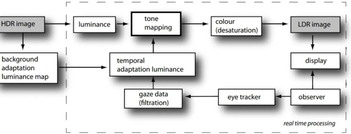 Figure 2.13 – Gaze-dependent Tone mapping workflow (adapted from (Mantiuk and Markowski, 2013)).